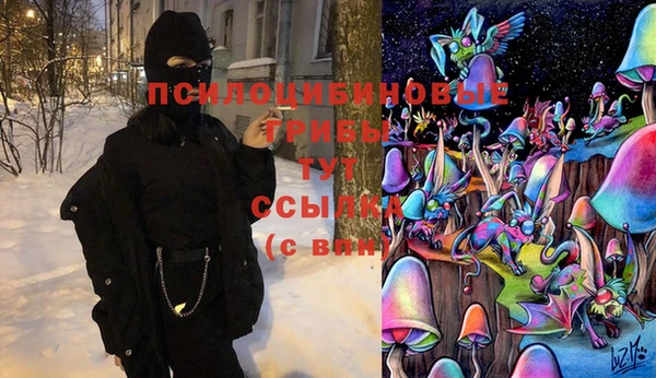 хмурый Богородицк