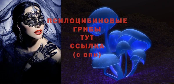 хмурый Богородицк